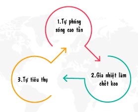 Nguyên lý ghép nhiệt cao            tần bạn cần biết